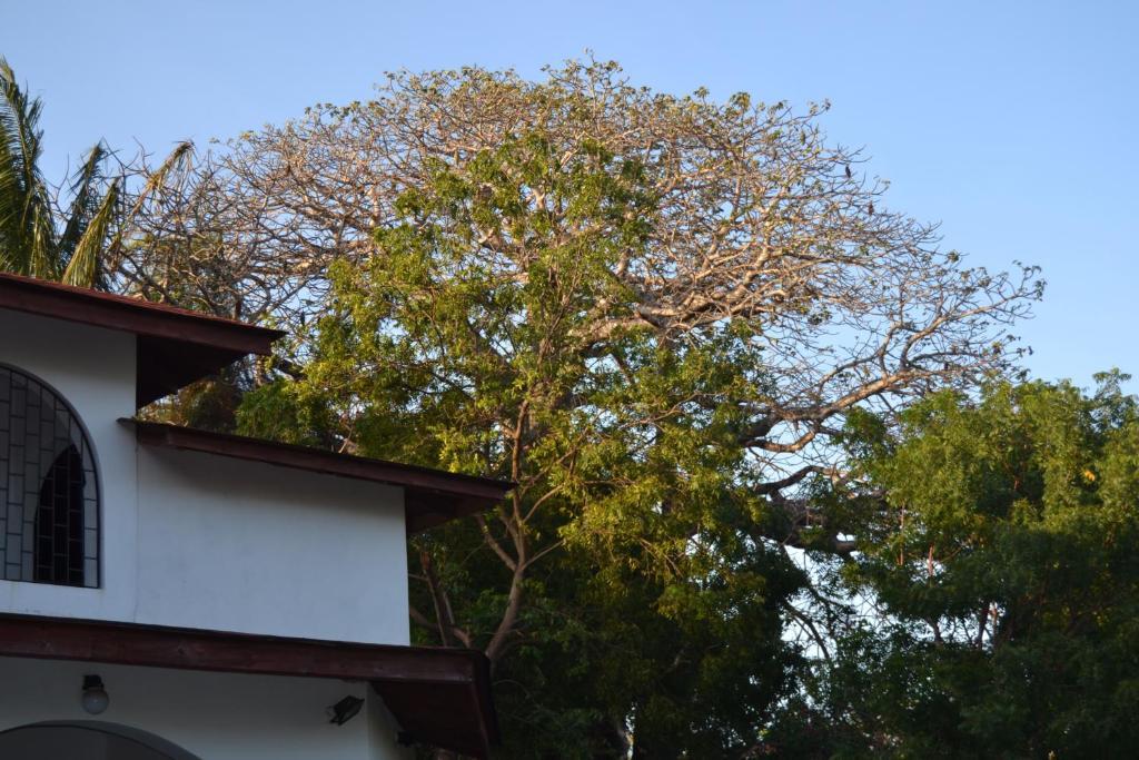 Giraffe House Bed & Breakfast Malindi Luaran gambar